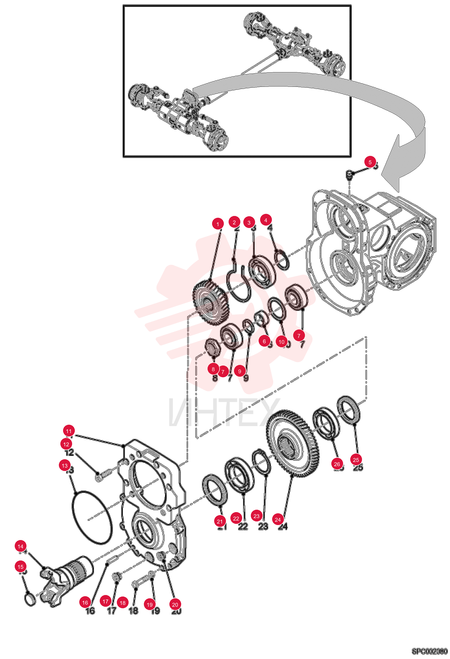 GEAR 6921019 (1)