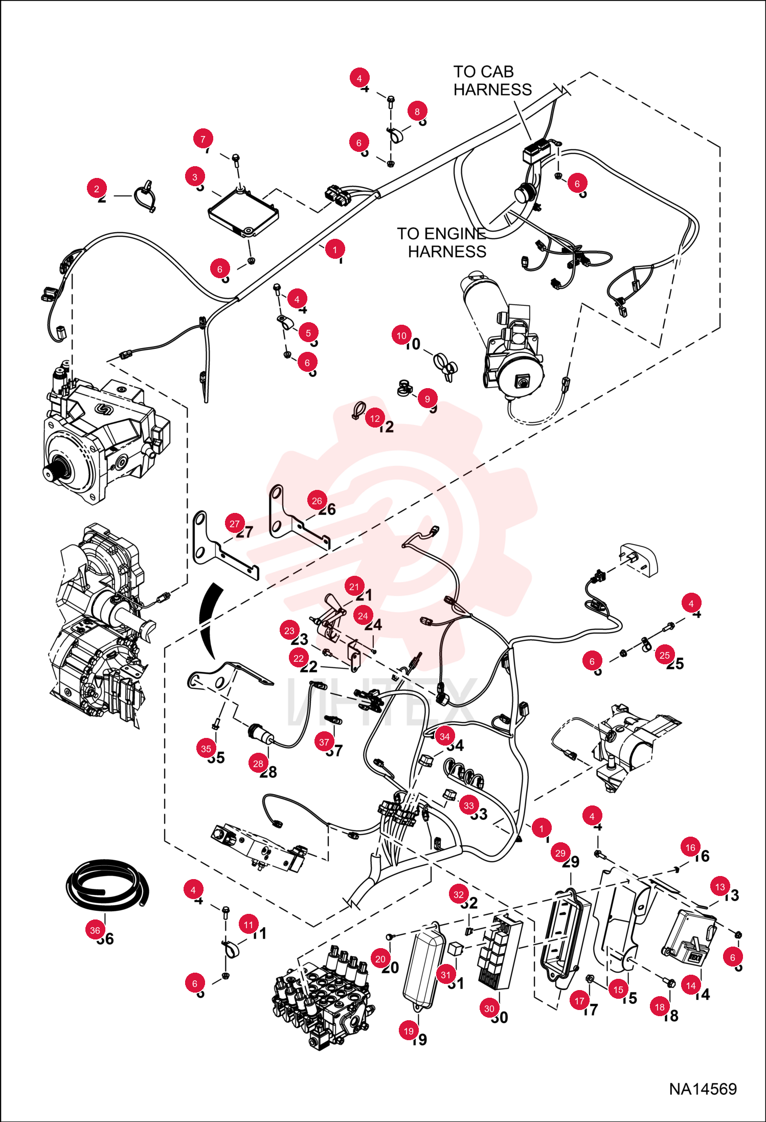 HARNESS 7269899