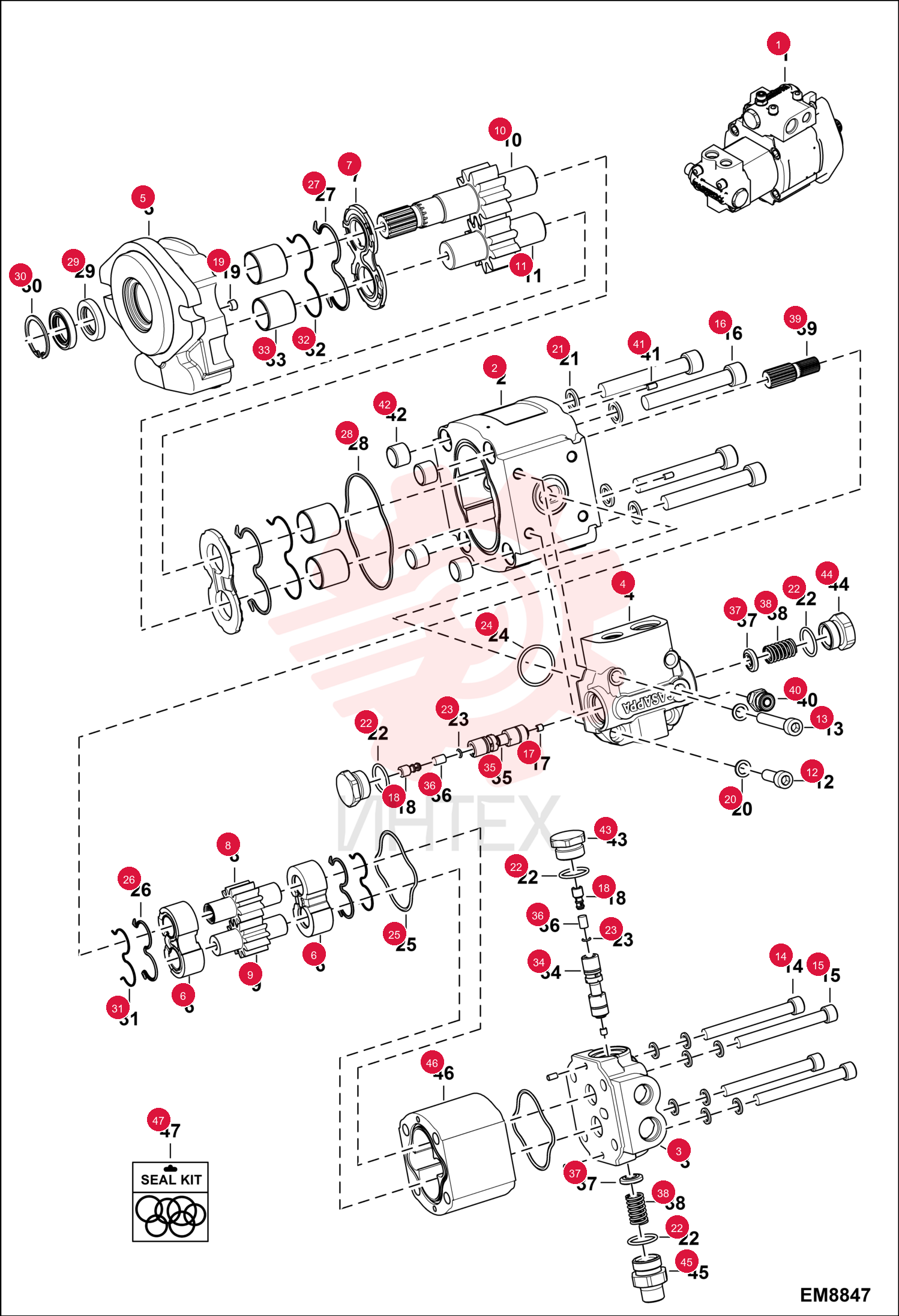 PUMP GEAR DOUBLE 7166078