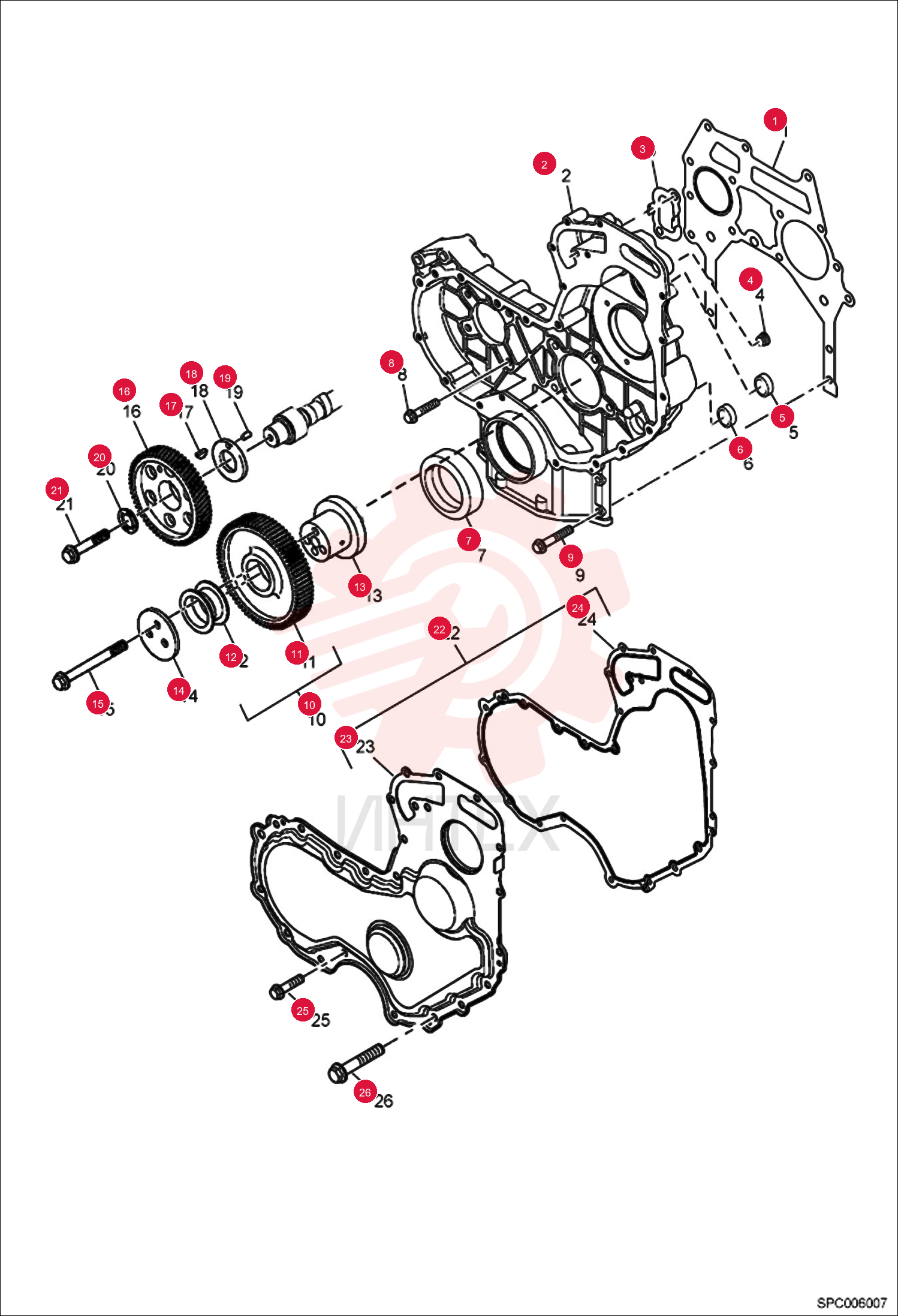 GASKET - TIMING CASE