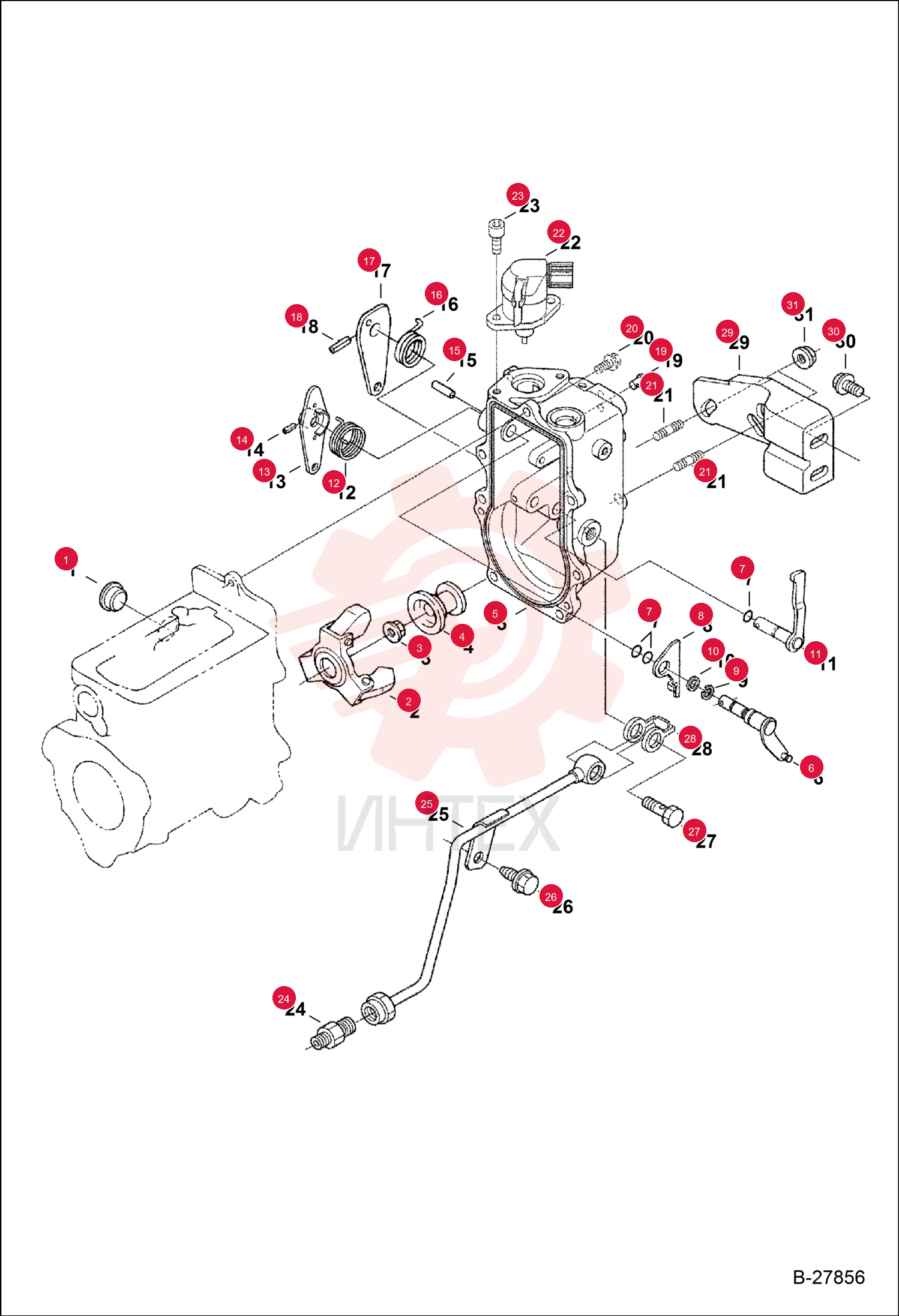 COVER 6680757