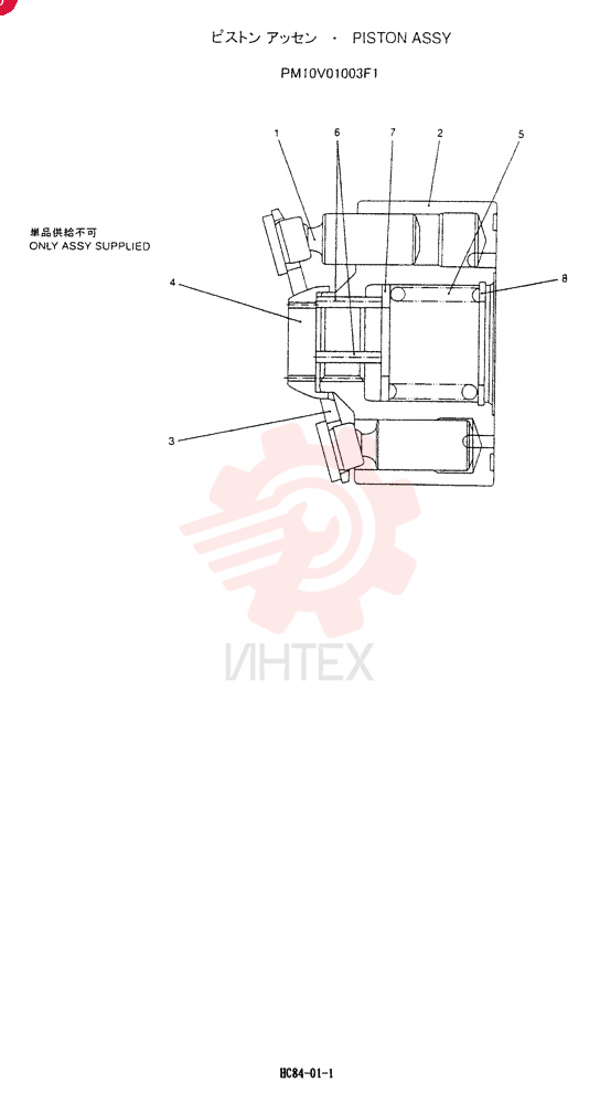 PISTON PW10V01003F1