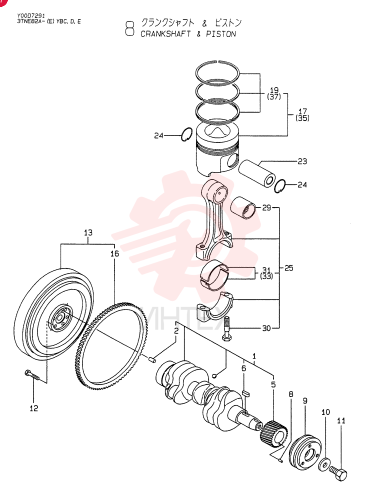 CRANKSHAFT VV11981321000