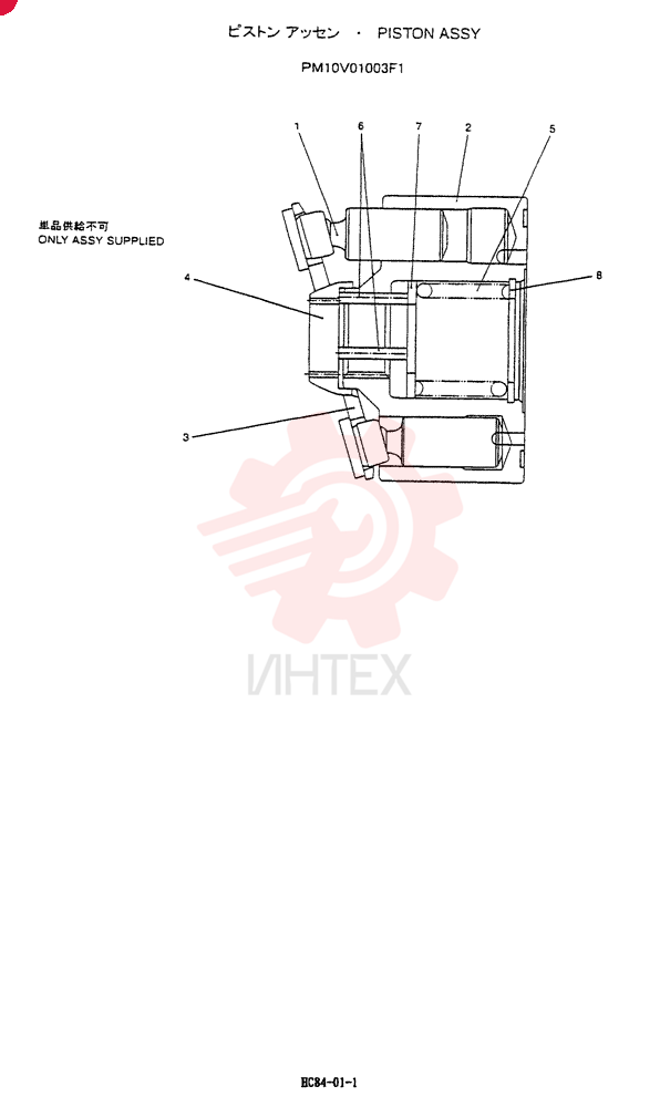 PISTON PW10V01003F1