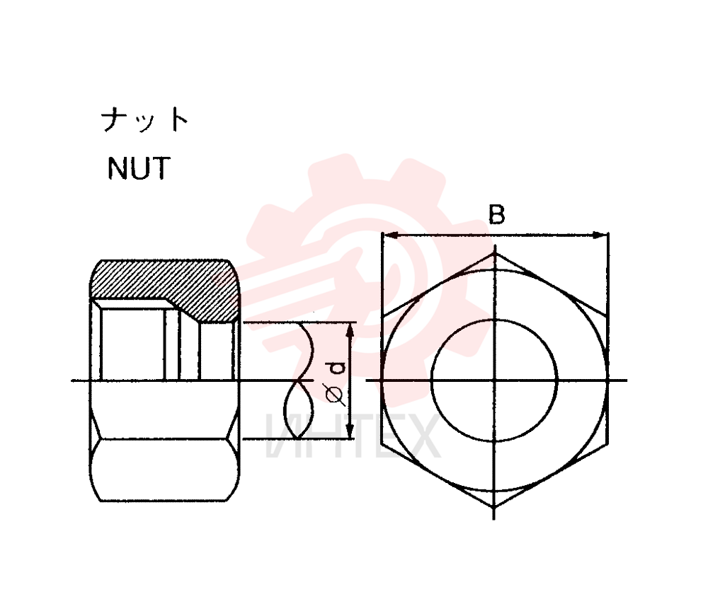 NUT ZA93N10000
