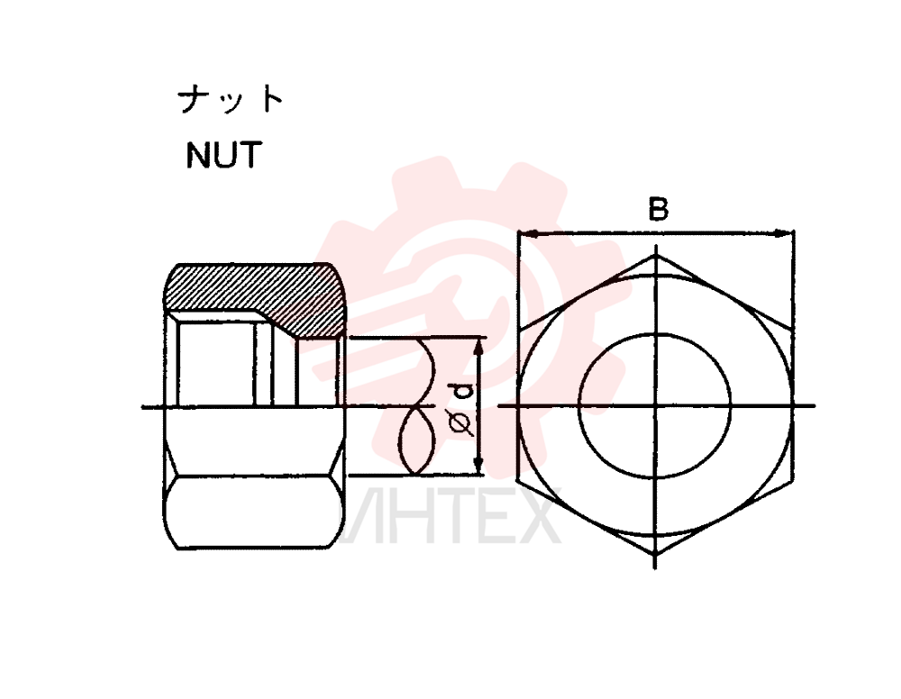 NUT ZA93N10000