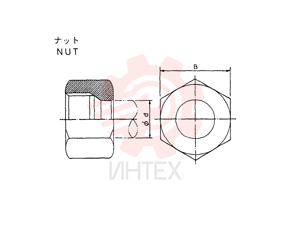 NUT ZA93N10000
