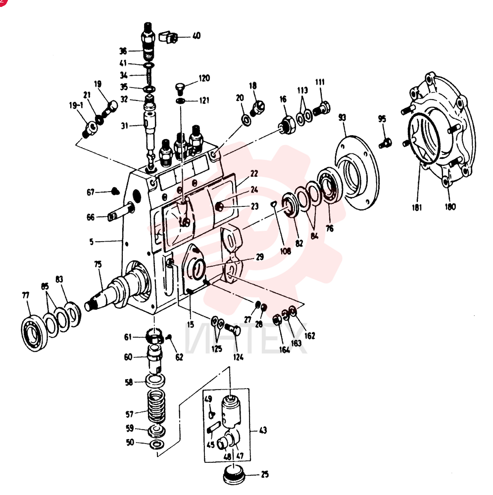 PUMP ASM, INJ VI5156011321