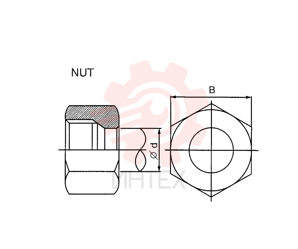 NUT ZA93N10000