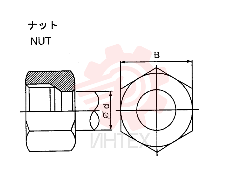 NUT ZA93N10000