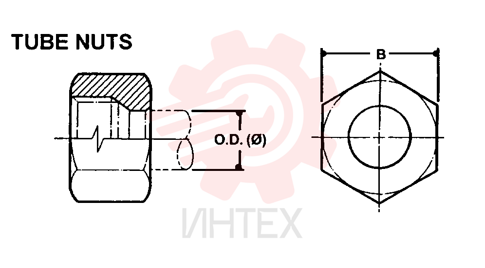 NUT ZF93N06000