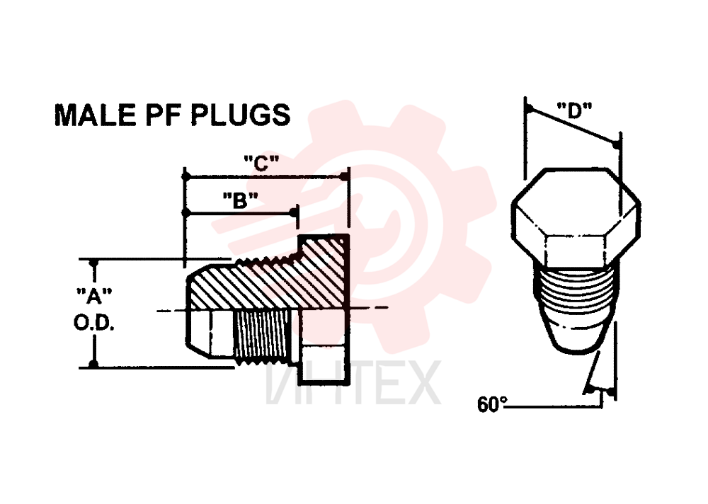 PLUG 2444Z2728D1