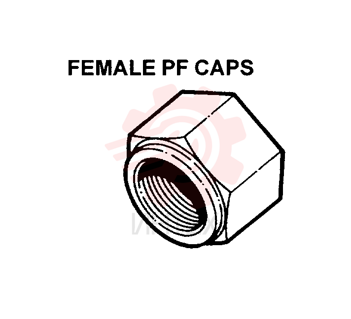 PLUG 2444Z2729D1