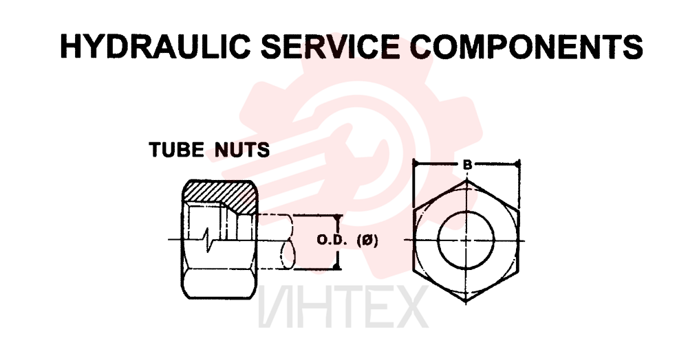NUT ZF93N06000