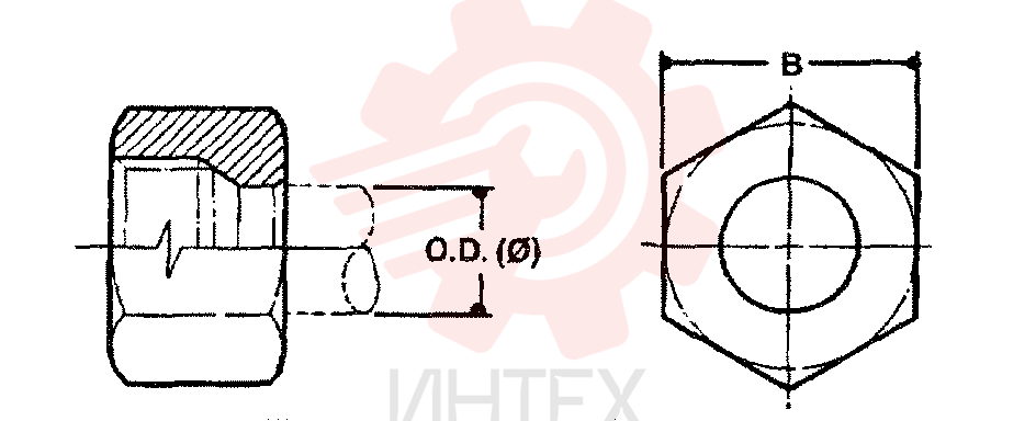NUT ZF93N06000