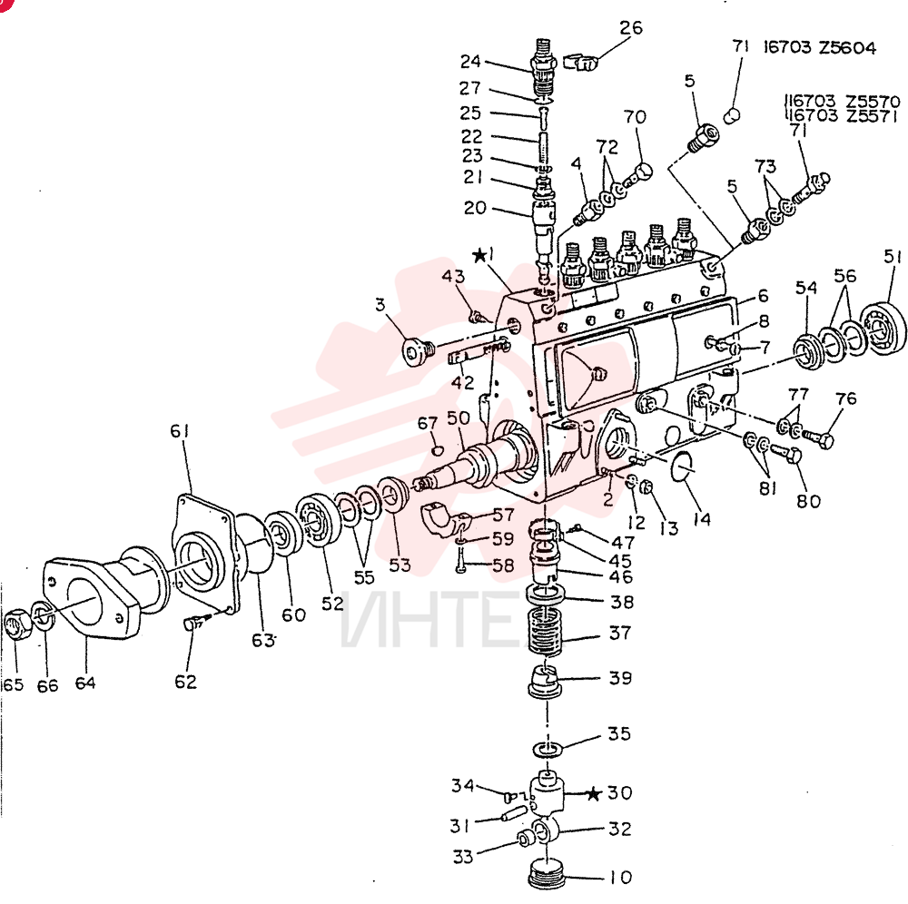 PUMP-INJECTION,FOR A1 ONLY