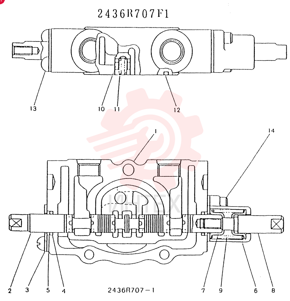 SECTION ASSY, PLUNGER 2436R707F1