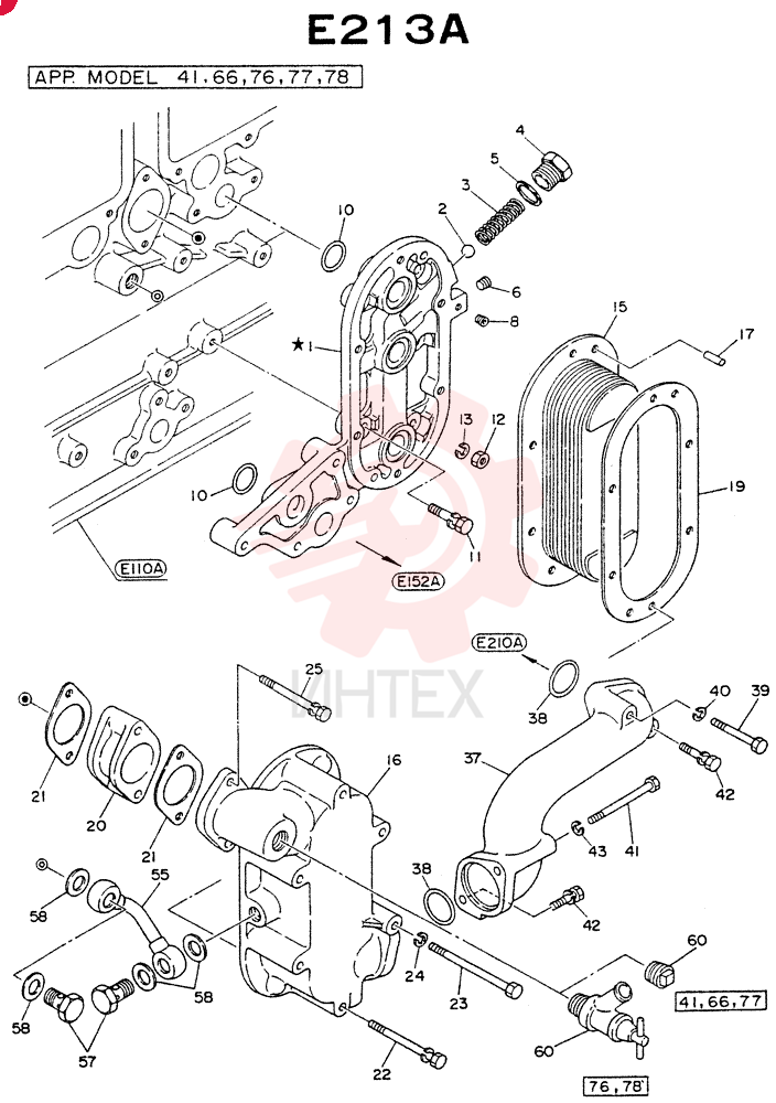 SCREW 41 (31)