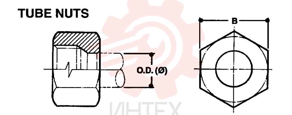 NUT ZF93N06000