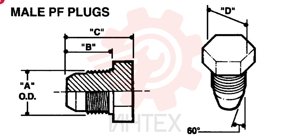 PLUG 2444Z2728D1