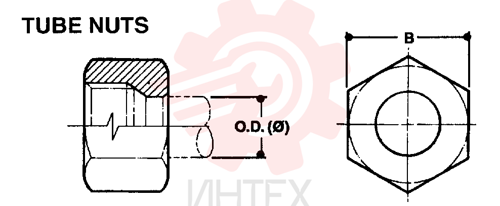 NUT ZF93N06000