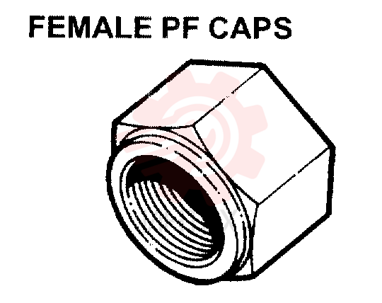 PLUG 2444Z2729D1