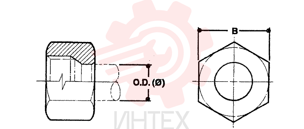 NUT ZF93N06000