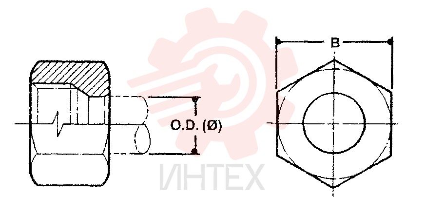 NUT ZF93N06000