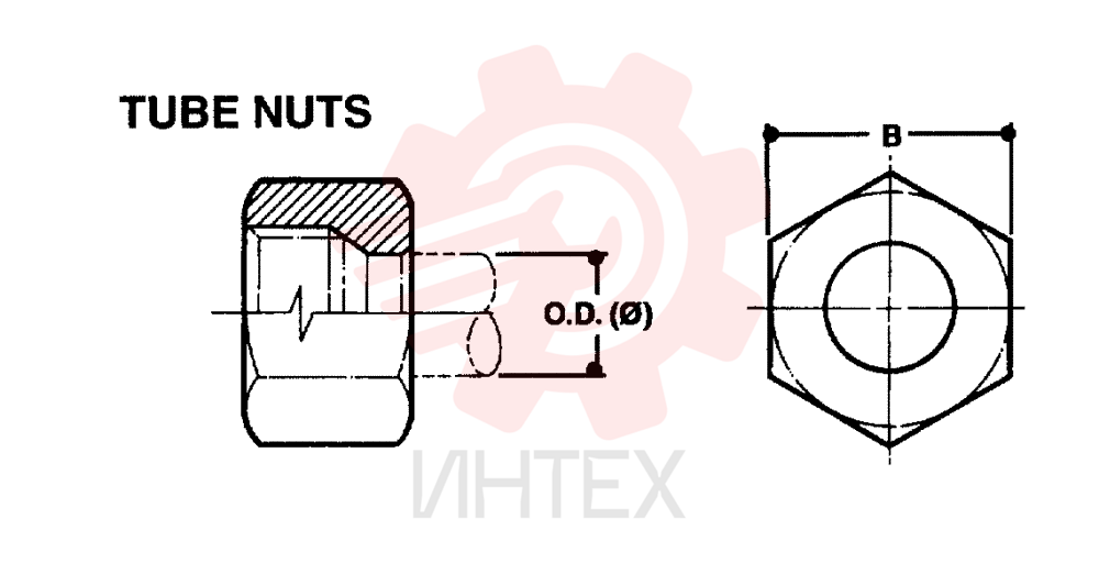 NUT ZF93N06000