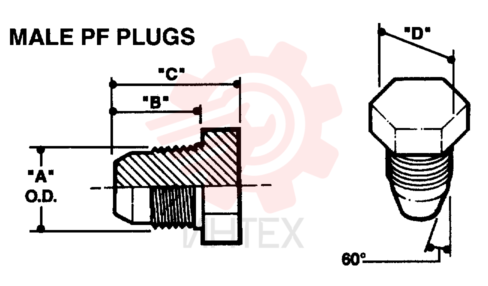 PLUG 2444Z2728D1