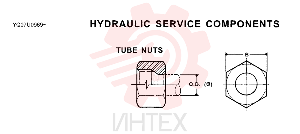 NUT ZF93N06000