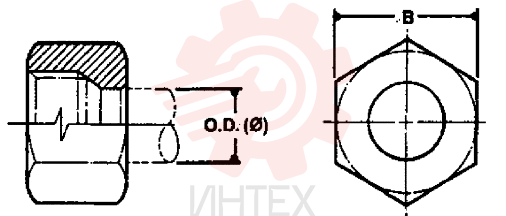 NUT ZF93N06000