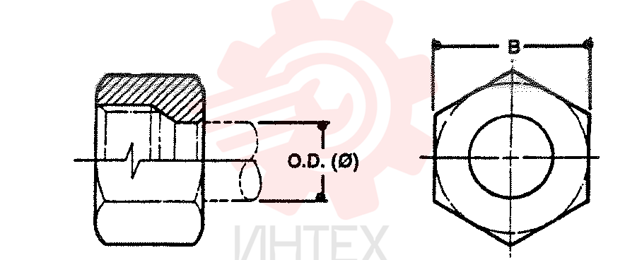 NUT ZF93N06000