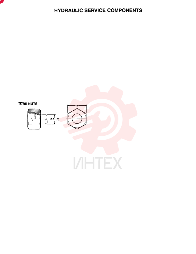 NUT ZF93N06000
