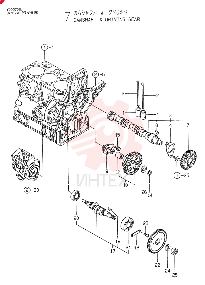 TAPPET VV11962014200