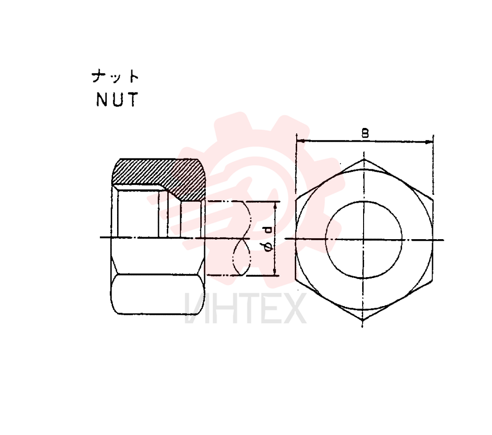 NUT ZA93N10000