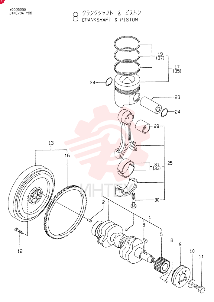 CRANKSHAFT VV11981321000