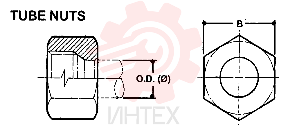 NUT ZF93N06000