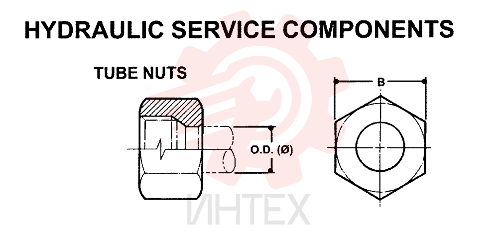 NUT ZF93N06000