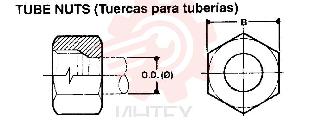 NUT ZF93N06000