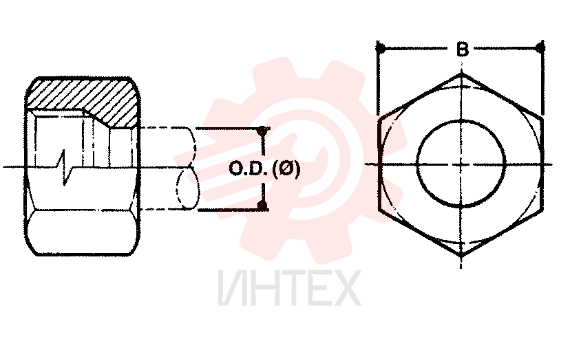 NUT ZF93N06000 (2)