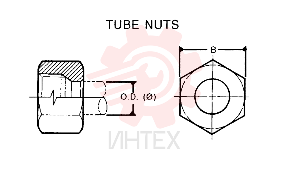 NUT ZF93N06000