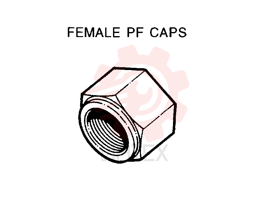 PLUG 2444Z2729D1
