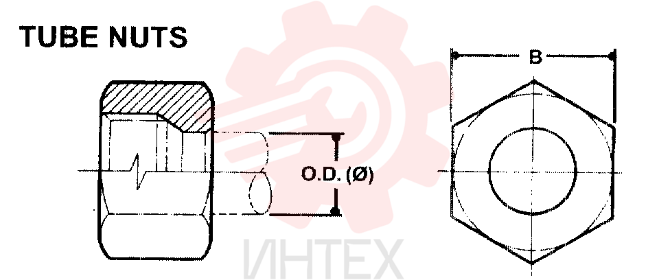 NUT ZF93N06000