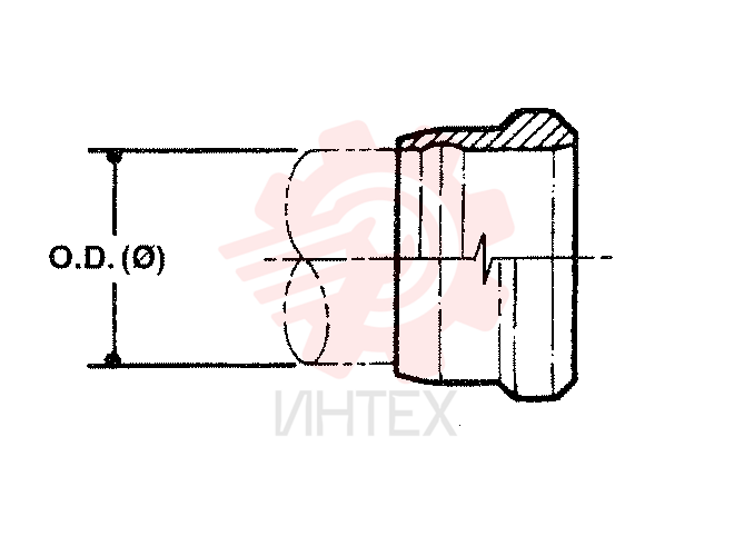 NUT ZF93N06000 (1)