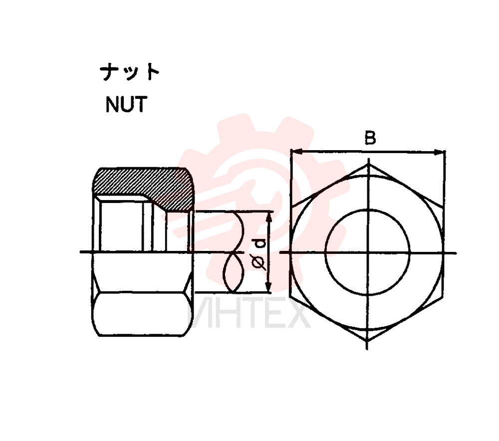 NUT ZA93N10000