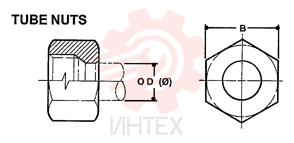 NUT ZF93N06000