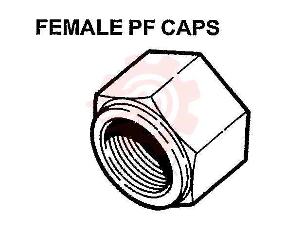 PLUG 2444Z2729D1
