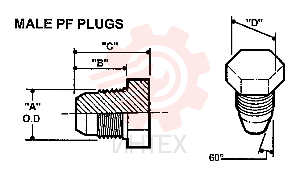 PLUG 2444Z2728D1