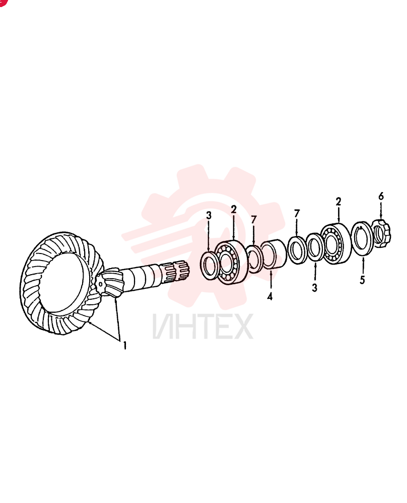 BEVEL PINION